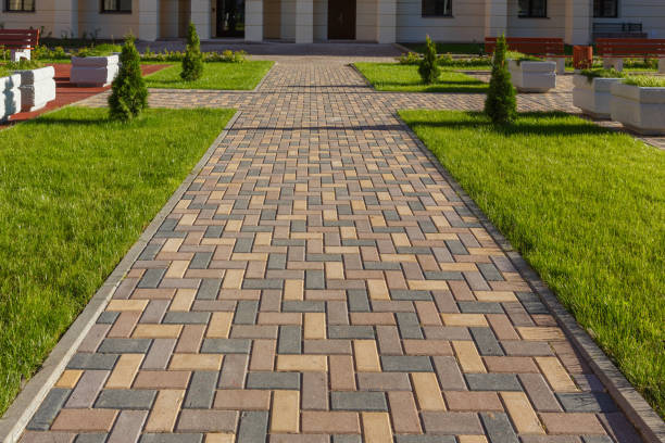 Best Local Driveway Pavers  in Dagsboro, DE